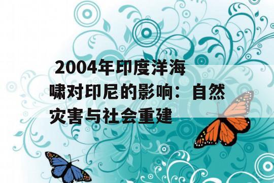  2004年印度洋海啸对印尼的影响：自然灾害与社会重建