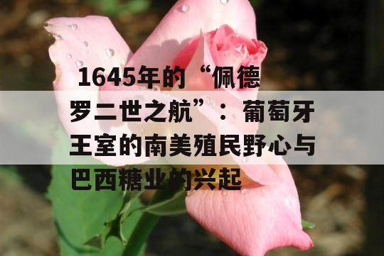  1645年的“佩德罗二世之航”：葡萄牙王室的南美殖民野心与巴西糖业的兴起