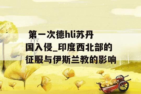  第一次德hli苏丹国入侵_印度西北部的征服与伊斯兰教的影响