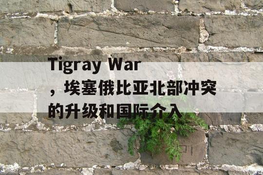 Tigray War，埃塞俄比亚北部冲突的升级和国际介入