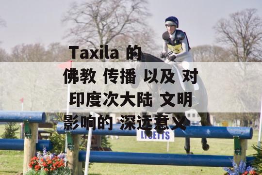  Taxila 的 佛教 传播 以及 对 印度次大陆 文明 影响的 深远意义