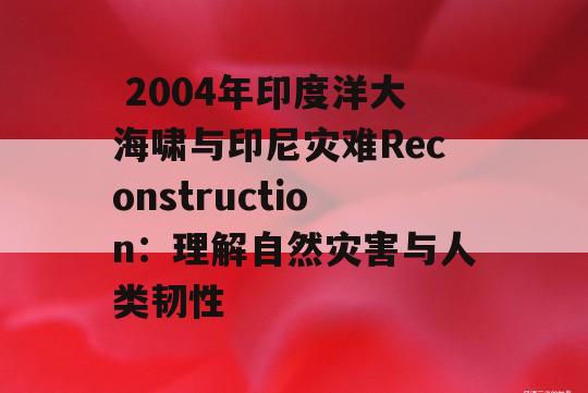  2004年印度洋大海啸与印尼灾难Reconstruction：理解自然灾害与人类韧性