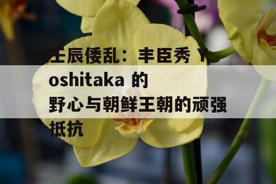 壬辰倭乱：丰臣秀 Yoshitaka 的野心与朝鲜王朝的顽强抵抗