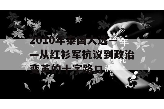 2010年泰国大选——从红衫军抗议到政治变革的十字路口