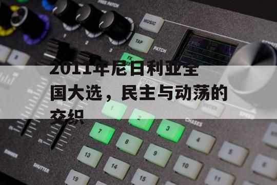 2011年尼日利亚全国大选，民主与动荡的交织